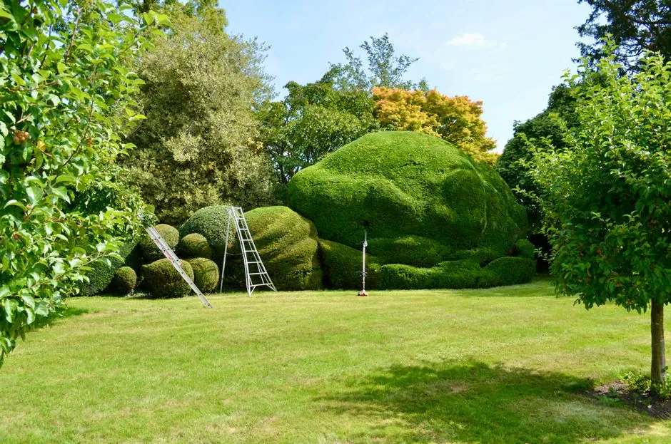 Jardin entretenu à Annecy — Bruno J Services
