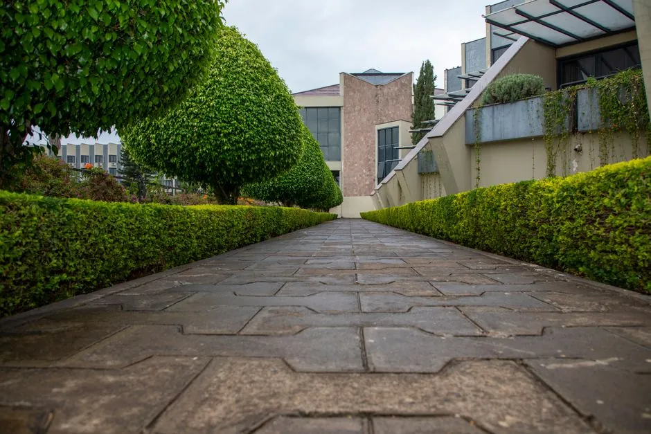 Jardin bien entretenu à Annecy — Bruno J Services